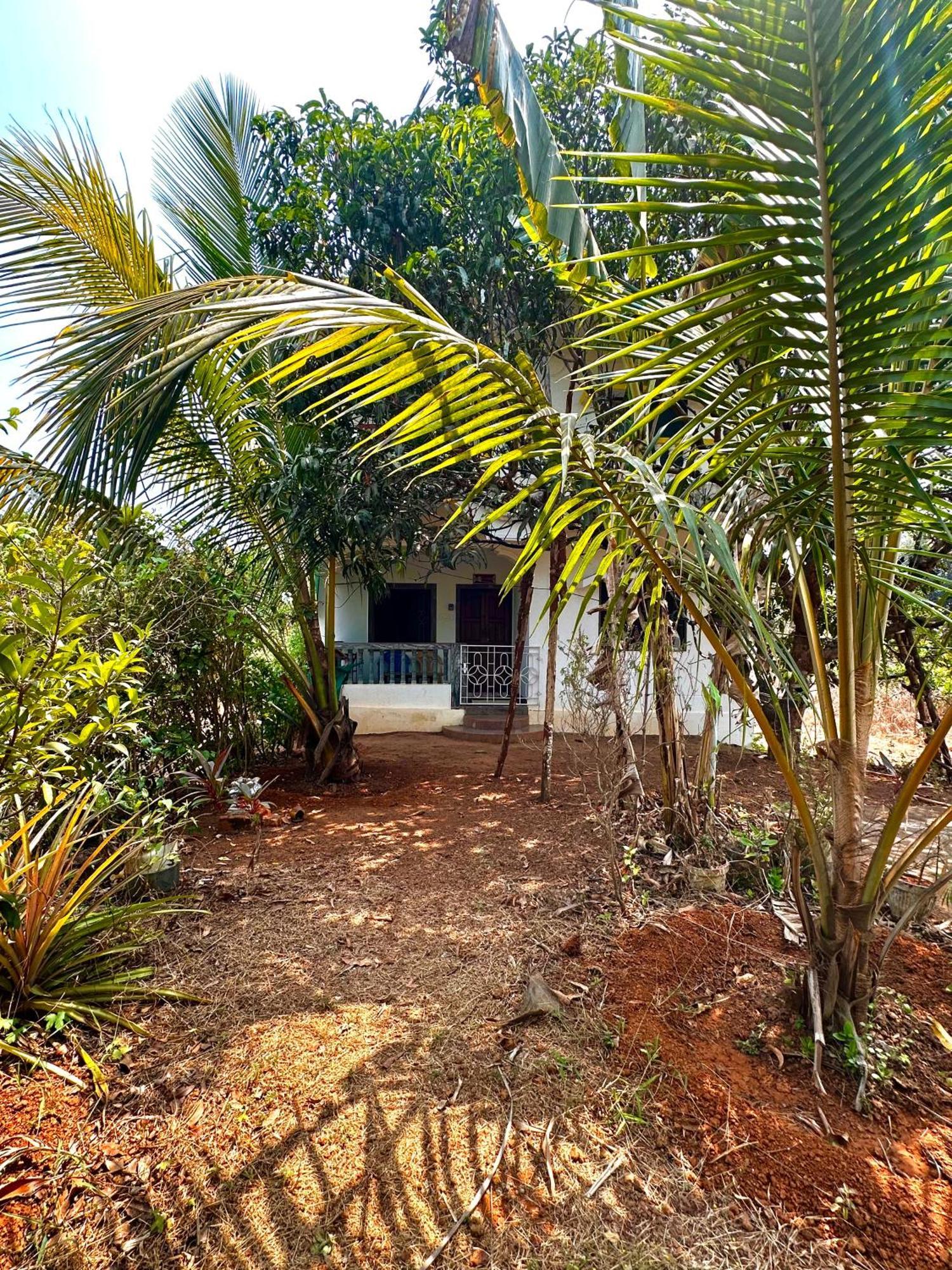 Evaddo Homes Mandrem Ngoại thất bức ảnh